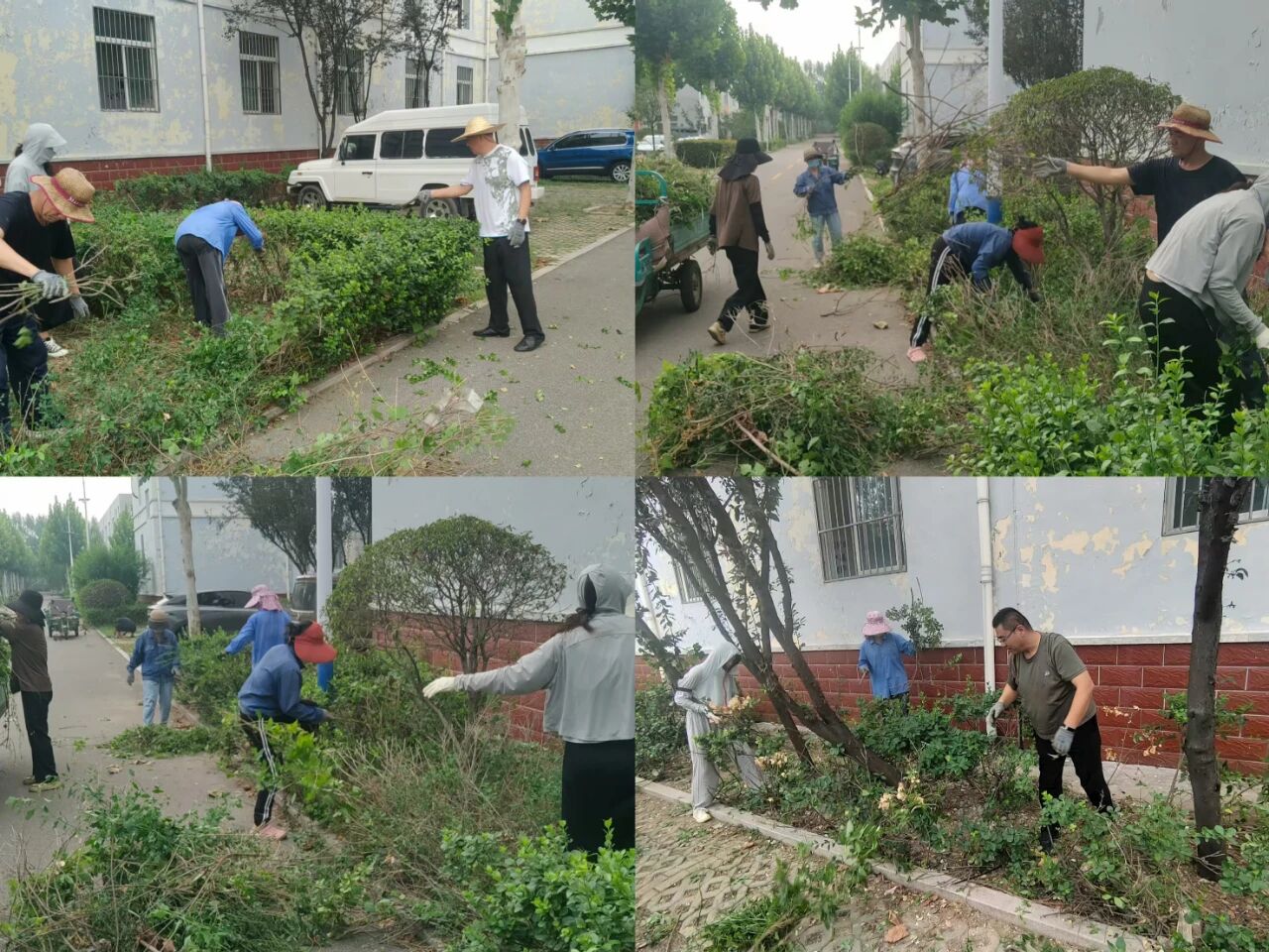 【鲁南电商】共建美丽园区，我们在行动！